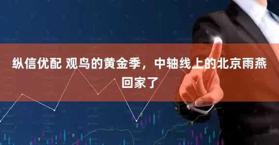 纵信优配 观鸟的黄金季，中轴线上的北京雨燕回家了
