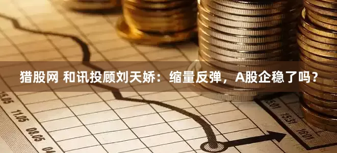 猎股网 和讯投顾刘天娇：缩量反弹，A股企稳了吗？